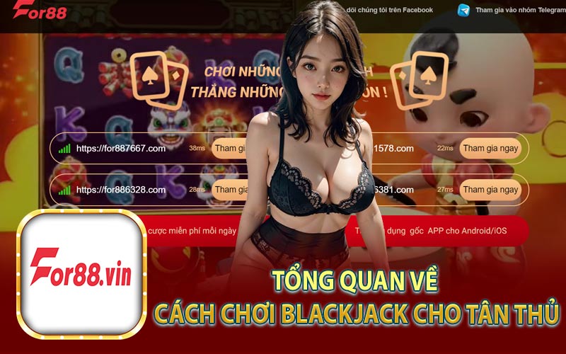 Tổng Quan Về Cách Chơi Blackjack Cho Tân Thủ