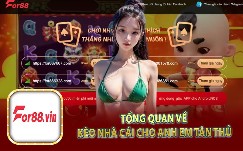 Tổng Quan Về Kèo Nhà Cái Cho Anh Em Tân Thủ